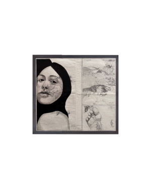 die eroberung der frauen