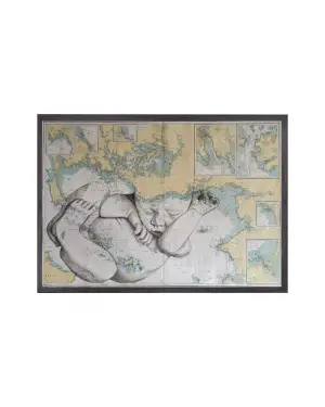 die vermessung der ungeborenen