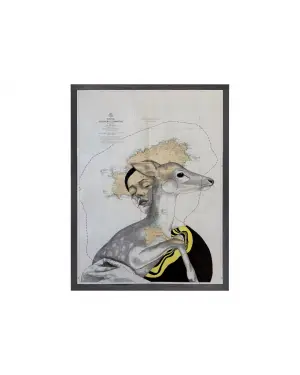 es gibt keine rehe auf ibiza