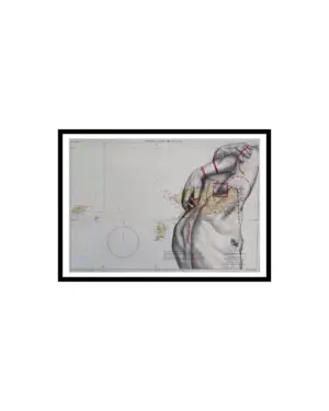 die vermessung der männlichkeit